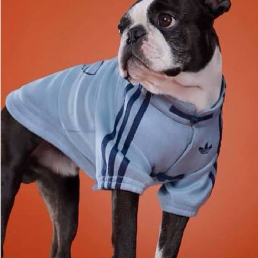 adidas Light Blue Dog Sports Jacket